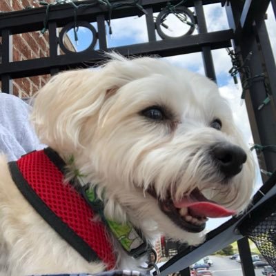 Profile Picture of Peggy Graham (@coachm6) on Twitter