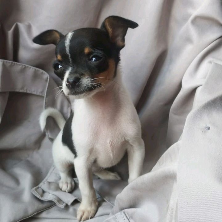 Profile Picture of santiago (@sanblea) on Tiktok