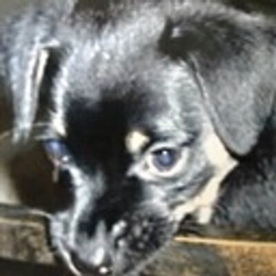 Mike Cossa - Twitter Profile Picture of Mike Cossa (@newbugman) on Twitter