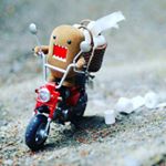 Profile Picture of Troy sharpe (@sharpe_dog) on Instagram
