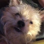 Profile Picture of Kevin Losh (@kevinwarlordestroyer) on Instagram