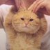 Profile Picture of Daisybb (@DaisyLoo15) on Twitter