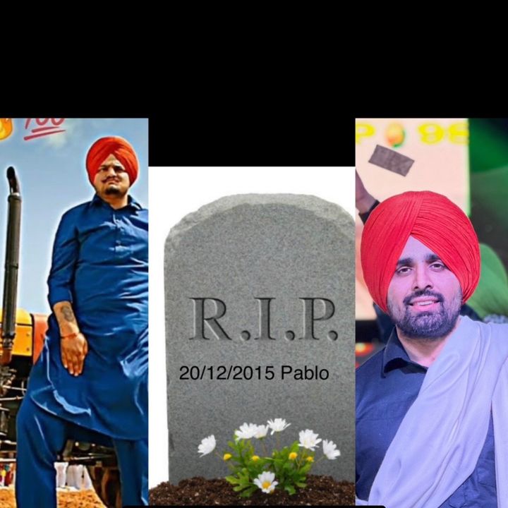 Pablo - Tiktok Profile Picture of Pablo (@rajvirpablosingh) on Tiktok