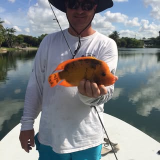 Profile Picture of michaelkimball (@michaelkimball) on Instagram