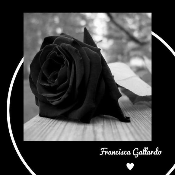 Profile Picture of Aaron Gallardo (@uziel165) on Poshmark