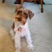 Profile Picture of Sandy Kingery (@sandy.kingery.7) on Facebook