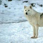 Profile Picture of Payton, Jolie, and Jeremy (@jeremypaytonjolie) on Instagram