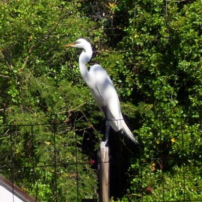 Profile Picture of Deborah Krause (@Luvracing) on Twitter