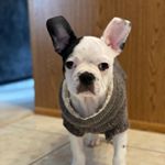 Profile Picture of MaryAnn Perkins (@maryann_perkins) on Instagram