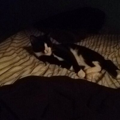 Profile Picture of Max Baird (@MaxMaxmbaird) on Twitter