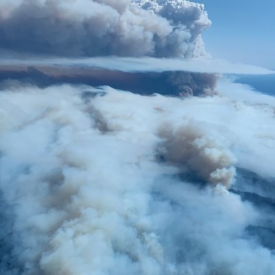 Profile Picture of John Bergstrom (@JohnBer46537404) on Twitter