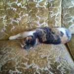 Profile Picture of Kim Judd (@kim.judd.3760) on Instagram