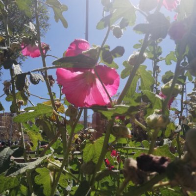 Profile Picture of Andy Río (@AndyRio71074713) on Twitter