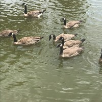 Profile Picture of Maia Thomas (@maia-thomas-37) on Quora