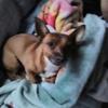 Profile Picture of George Michels (@@georgemichels6) on Tiktok