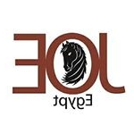 Profile Picture of JOE  Eng. Basma Elsabagh (@joe_basma_elsabagh) on Instagram