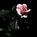 Profile Picture of HomeboyJuan felipe efrenJavier (@michael_jacobo_dubstep) on Instagram