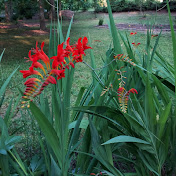 Profile Picture of T Webber (@twebber6755) on Youtube