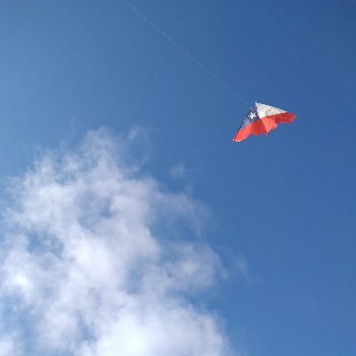 Profile Picture of Héctor Avilés (@haviles_cl) on Twitter