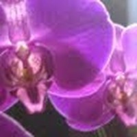 Kim Stirling - Quora Profile Picture of Kim Stirling (@kim-stirling-8) on Quora