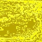 Profile Picture of Shirley Donelle (@donelle.shirley) on Instagram