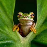 Profile Picture of Leon E. Kennedy (@leon-e-kennedy) on Quora