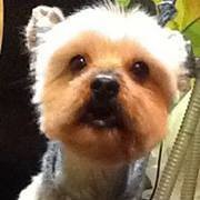 Profile Picture of Ivan Inda Uriarte (@ivan.indauriarte) on Myspace