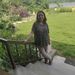 Profile Picture of neeta desai (@neetapranav) on Pinterest