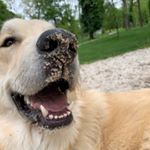 Profile Picture of Sherry Byrn- Zgiet (@sherryzgiet) on Instagram