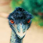 Profile Picture of derek dawkins (@derek.dawkins) on Instagram