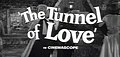 Profile Picture of The Tunnel of Loveon Wikipedia