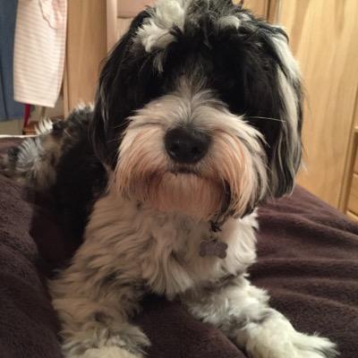 Profile Picture of Pat Makin (@mayko46) on Twitter