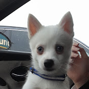 Profile Picture of Daniel Burns (@danielburns8216) on Youtube