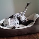 Stephen Scharaldi - Facebook Profile Picture of Stephen Scharaldi (@sscharaldi) on Facebook