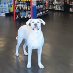 Profile Picture of Jason Bartrum (@jason.bartrum.2025) on Facebook