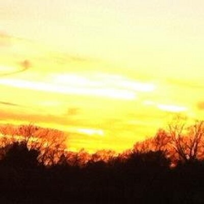 Profile Picture of Terry Rutter (@Justme4shore) on Twitter