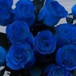 Profile Picture of Devonte Littlejohn (@devonte53little) on Instagram