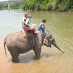 Profile Picture of Bradcutts (@bradcuttsviner) on Instagram