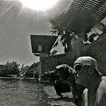 Profile Picture of Randall Wills (@willsrandall) on Instagram