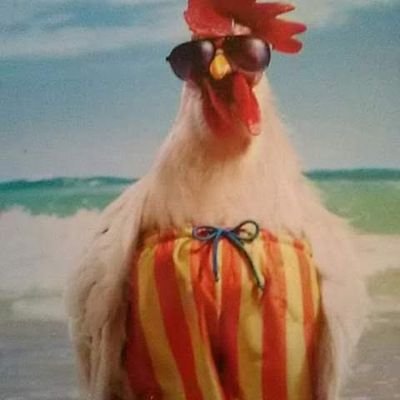 Profile Picture of Terry Hansen (@terryhans73) on Twitter