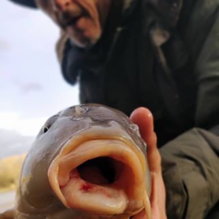 Profile Picture of Geoffrey Hynes (@geoffrey.hynes.7) on Facebook