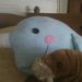Profile Picture of Hayley Dull (@buggbite95) on Pinterest
