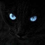 Profile Picture of Heather Hyland (@hhyland3) on Instagram