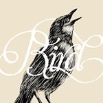 Profile Picture of Birdbydoug (@birdbydoug) on Instagram