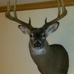 Profile Picture of Matthew Walton (@wallydingle) on Instagram