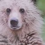 Lawrence de Bruijn - Instagram Profile Picture of Lawrence de Bruijn (@555damonsalvator) on Instagram