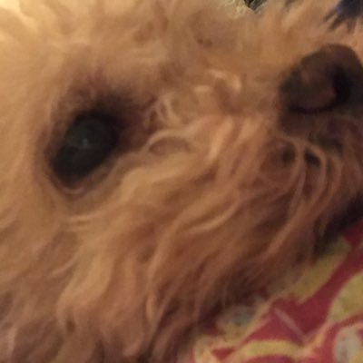Profile Picture of Marcia Bentley (@MarciaB14302596) on Twitter