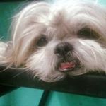 Profile Picture of Valari Capozzi (@valaricapozzi) on Instagram