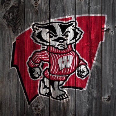 Profile Picture of Tony Hoffman (@badgerfanot) on Twitter