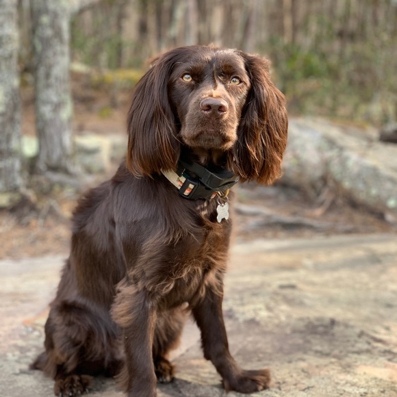 Profile Picture of Adam Byrd (@adambyrd) on Poshmark